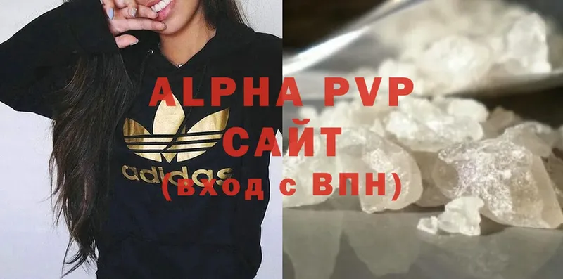 A PVP СК  Волгореченск 