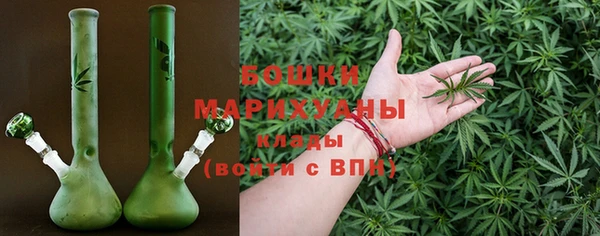 дживик Бронницы