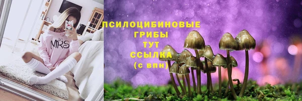 мяу мяу мука Верхнеуральск