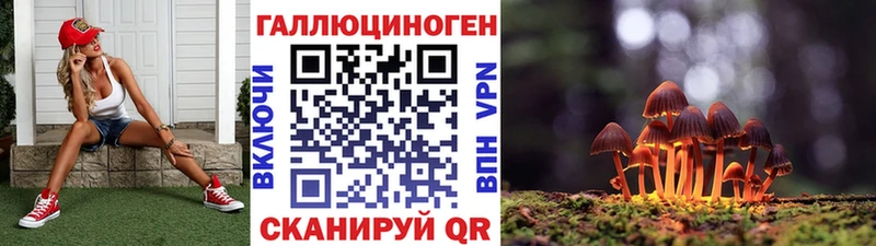 дарнет шоп Волгореченск Псилоцибиновые грибы Cubensis
